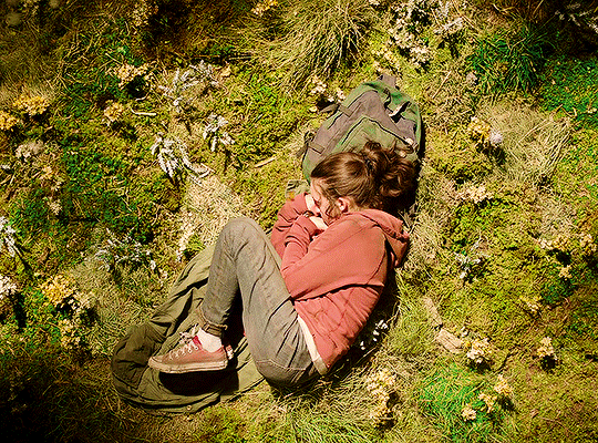 드디어 국내에서도 볼 수 있게 된 역대 게임 원작 드라마 중 가장 평가 좋고 가장 성공한 HBO 드라마 | 인스티즈