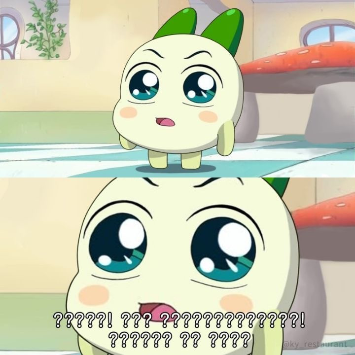 To. 전남친에게 108 kg 여자의 편지 | 인스티즈