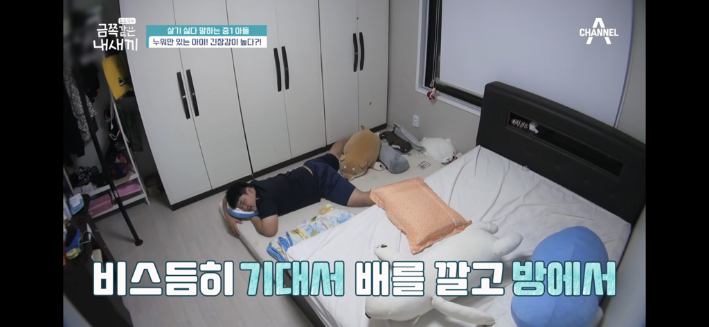 대체 왜 집에서 누워만 있을까? 게을러서? 살쪄서? | 인스티즈