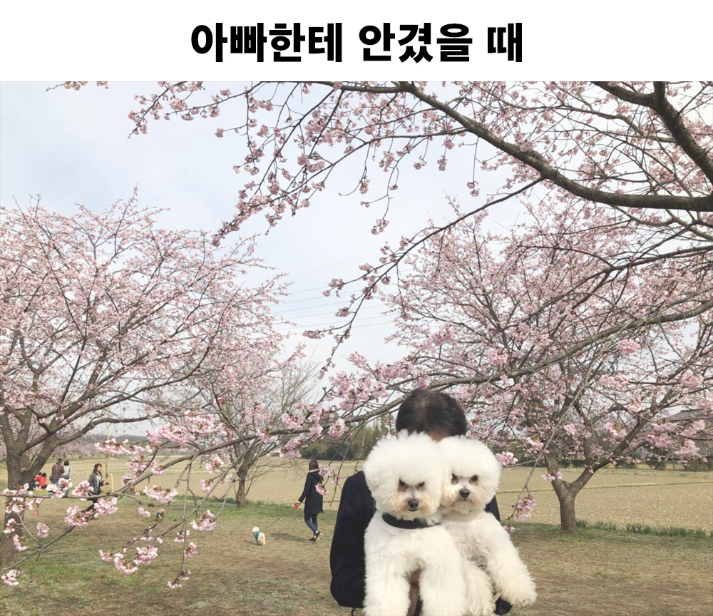 엄마가 안았을 때와 아빠가 안았을 때의 차이.jpg | 인스티즈