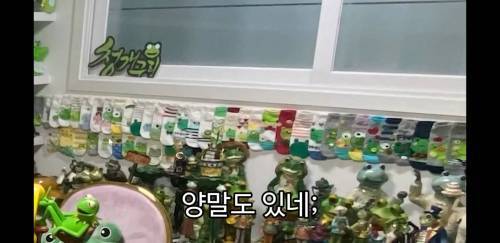 엄마가 30년 동안 모은 개구리방.jpg | 인스티즈