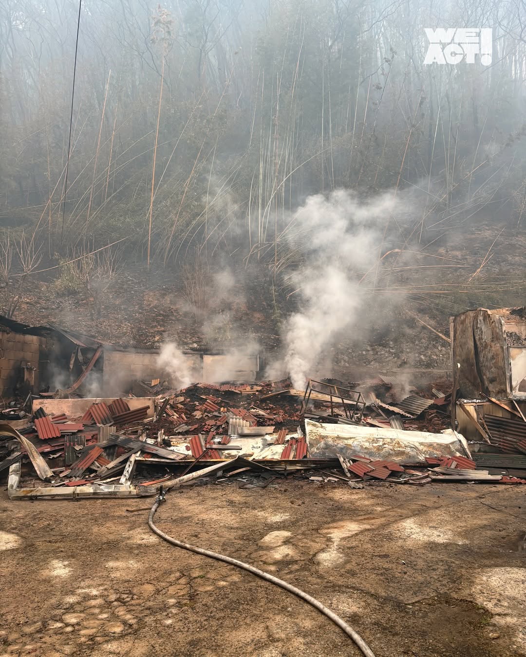 산청 산불에 주인이 목줄을 풀러주지 않아 고무집에 웅크리고 있던 강아지 | 인스티즈