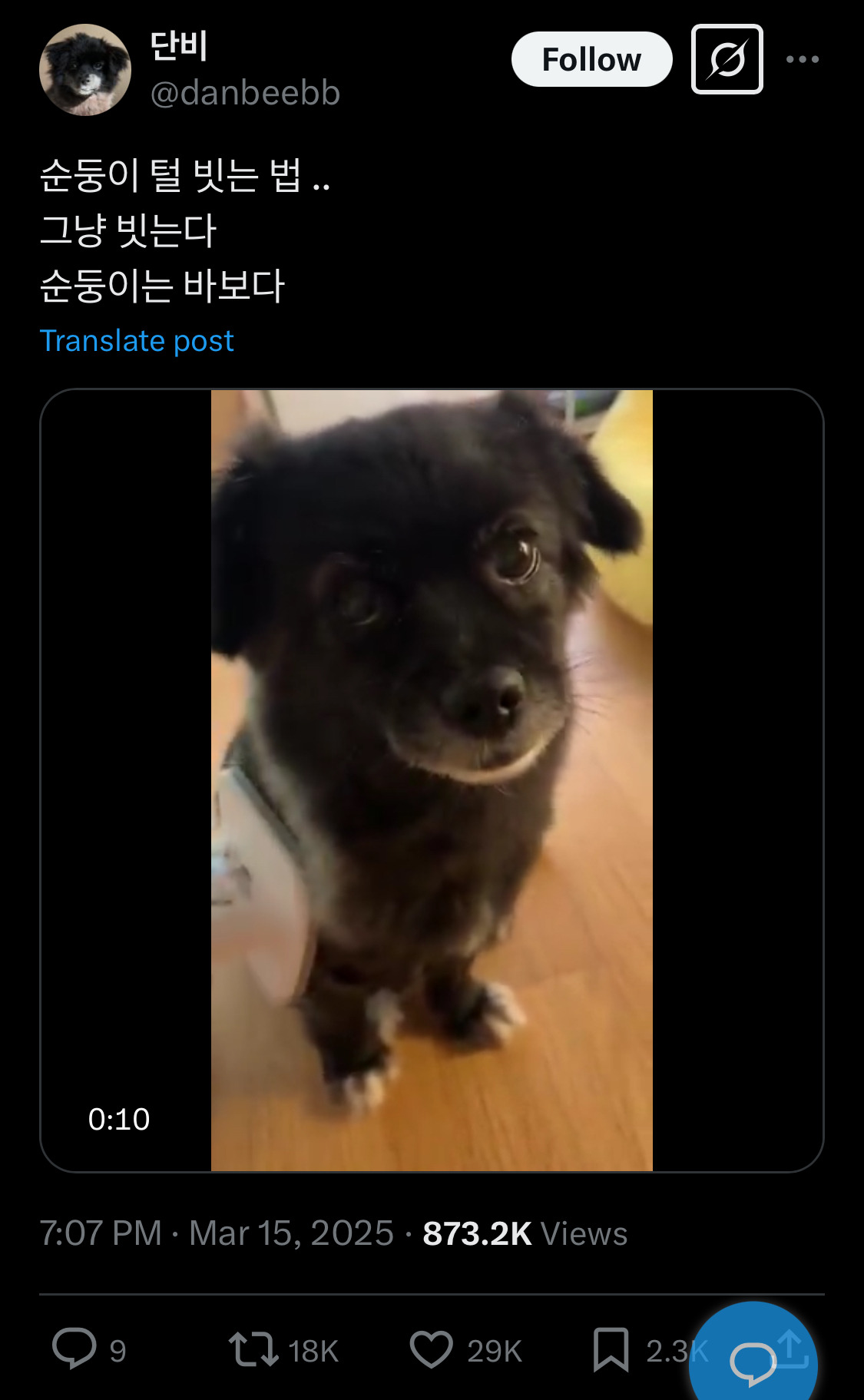 고등학생땐 아이돌이랑 진짜 사귀고 싶었는데ㅋㅋㅋ 성인되니까.twt | 인스티즈