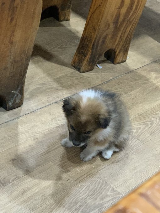 혼밥하는데 자꾸 누가 쳐다봄 | 인스티즈