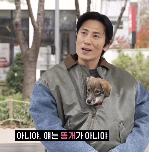 동물농장 똥개보필프로젝트에 참여중인 연예인과 임보 강아지들 | 인스티즈