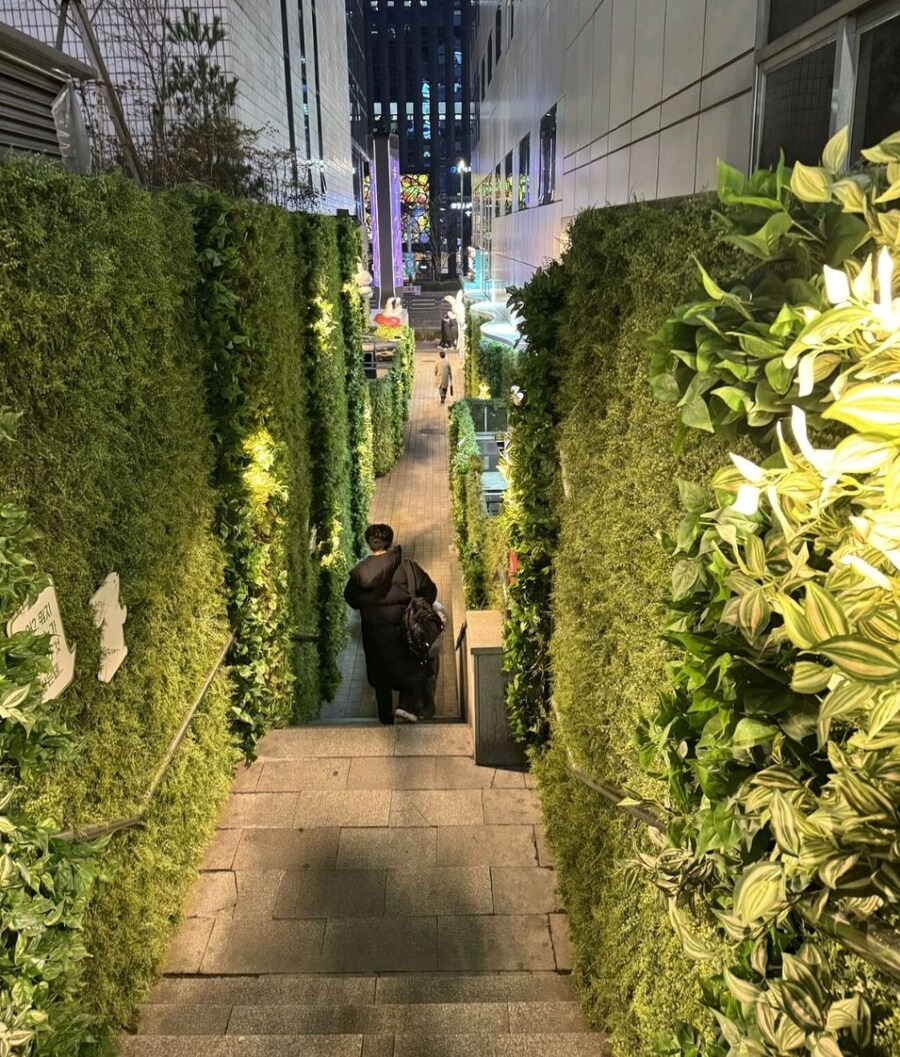 강남역 11번 출구 길목 근황.jpg | 인스티즈