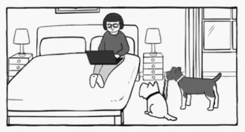 산책나가고 싶었던 강아지들 ㅋㅋ.gif | 인스티즈