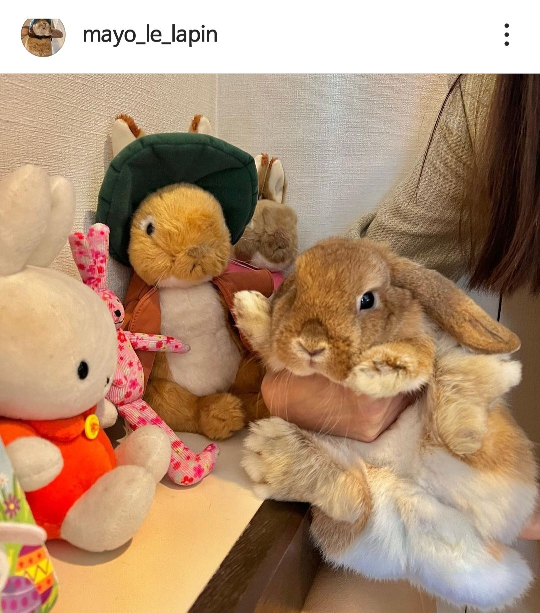 하연수가 키우는 토끼.jpg | 인스티즈