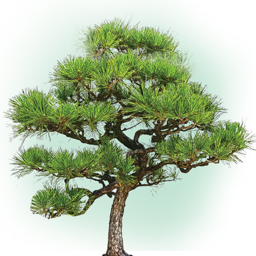 나빌레라에 나왔던 치매 테스트.jpg | 인스티즈