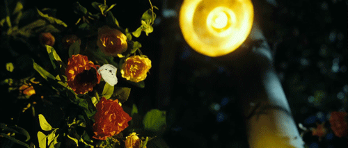 영화 김씨 표류기의 분위기 | 인스티즈