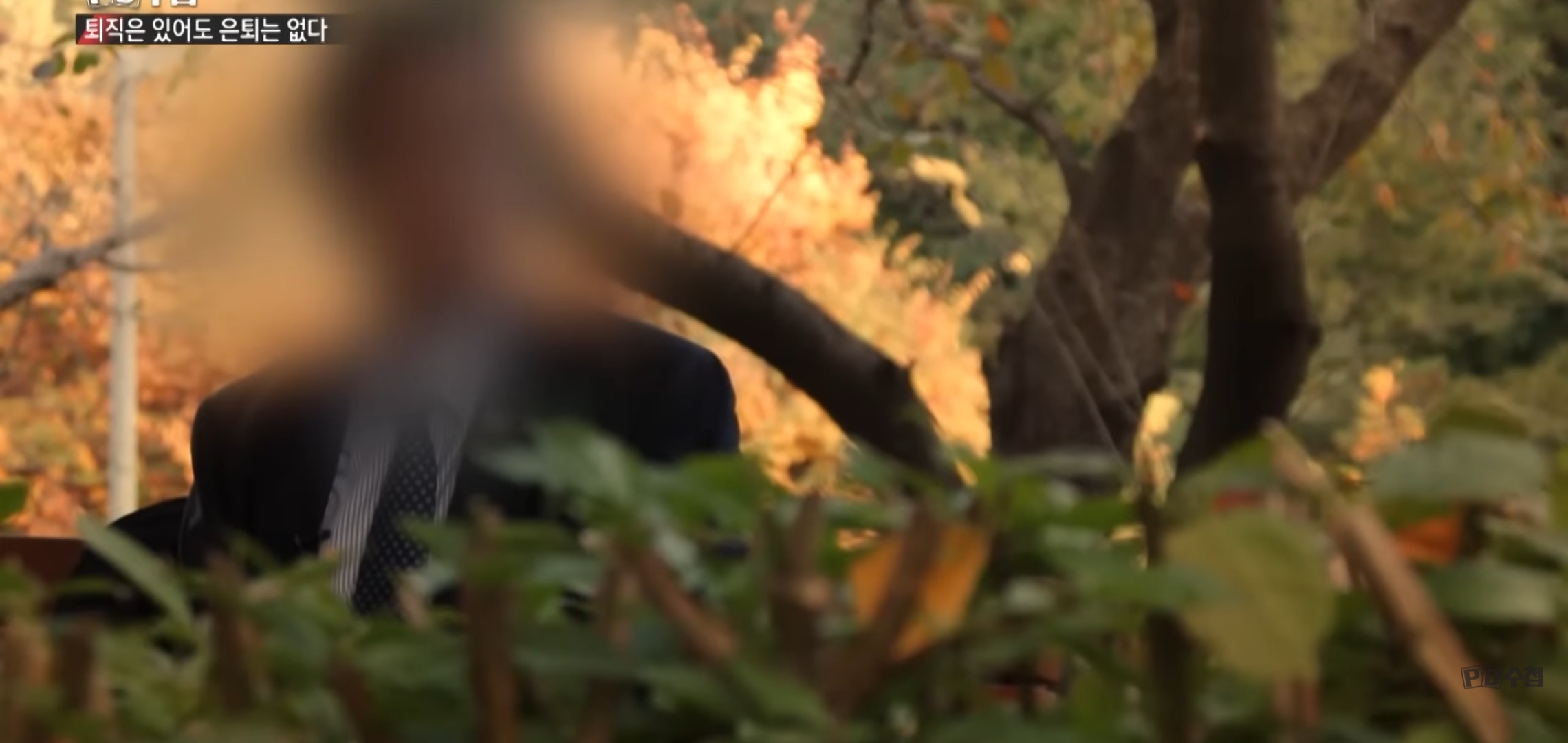 [피디수첩] 퇴직 후 일자리를 찾아 다니는 5060.jpg | 인스티즈