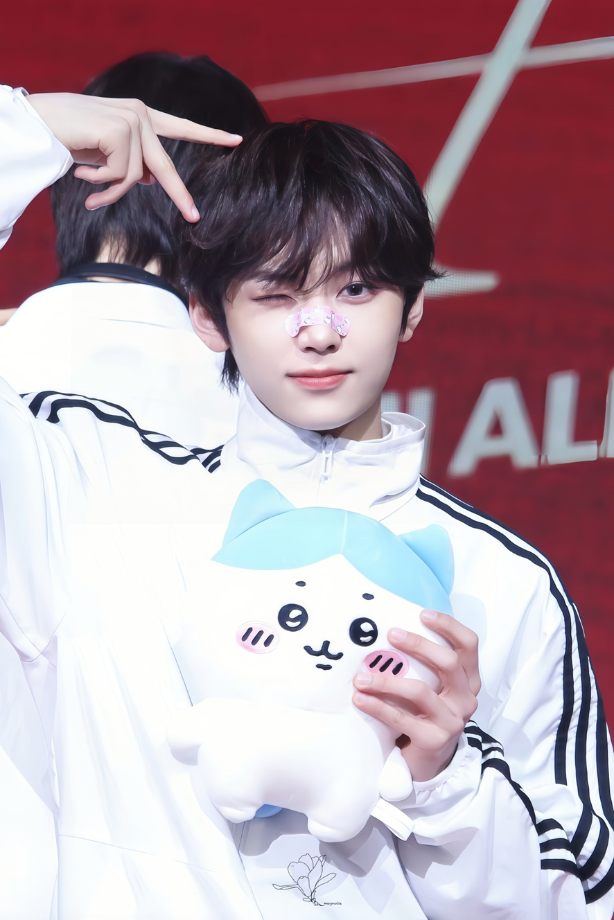 셀고와 셀카장인 다 있다는 누에라 | 인스티즈