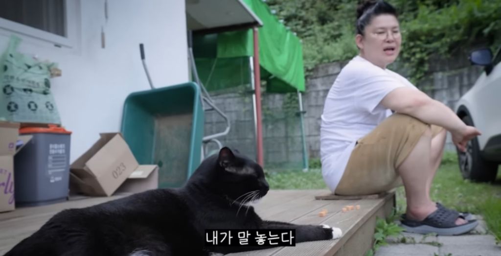 신발 물어 뜯은 고양이 찾아간 이영자 | 인스티즈