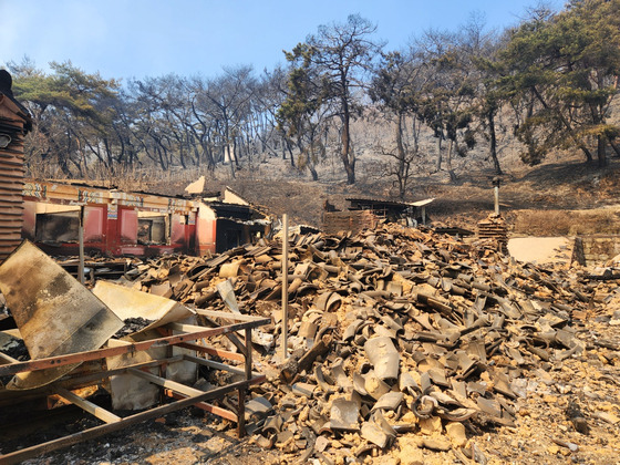 이번 경북 의성 산불로 인해 '의상대사'가 창건한 천년고찰 '운람사'가 전소되었습니다 | 인스티즈