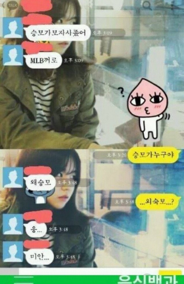  맞춤법 파괴자