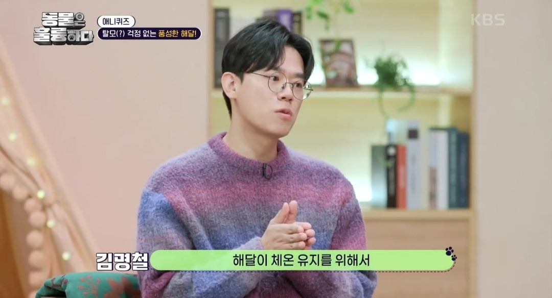 [동훌륭] 떠내려가지 않기 위해 친구 손을 잡고 잔다는 동물 | 인스티즈