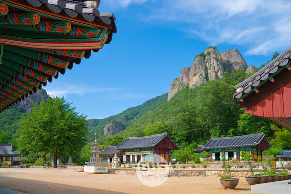 [긴급] 주왕산 대전사도 화마 위기...산불 근접 | 인스티즈