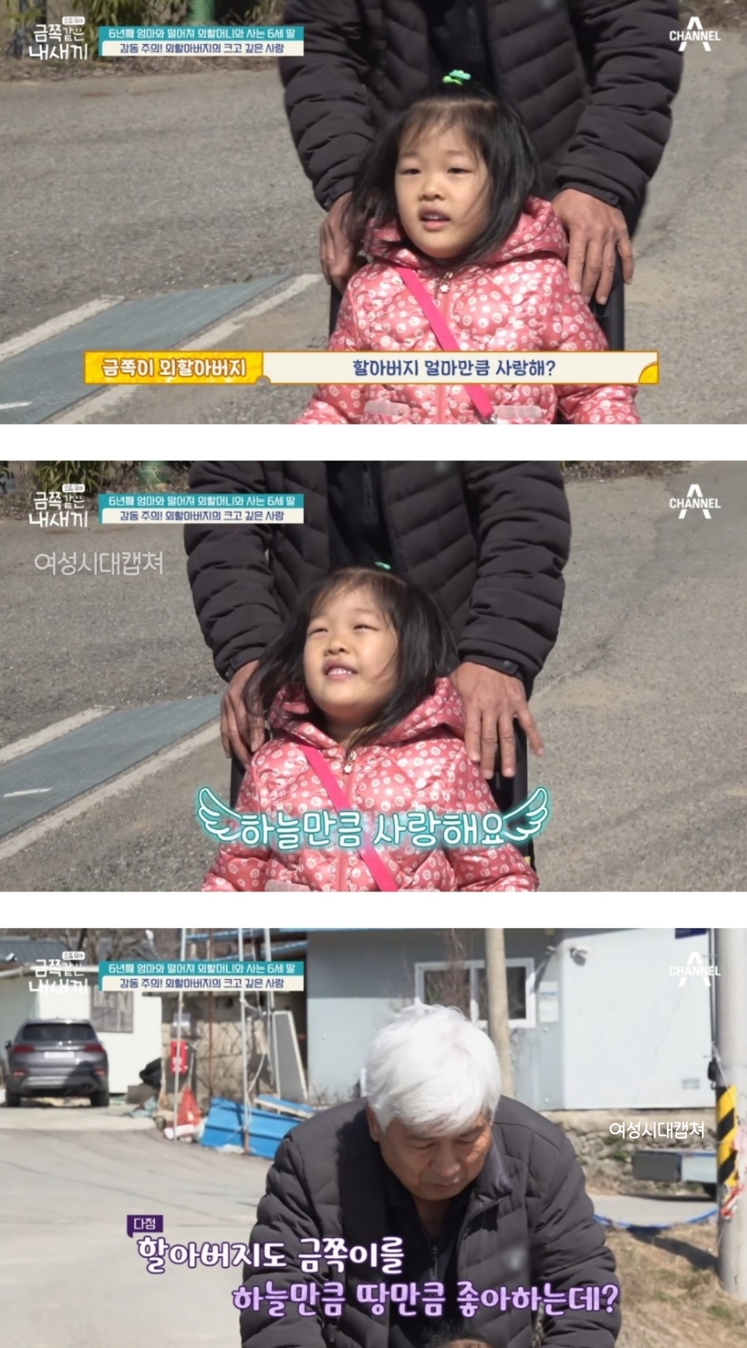 다정함이 전해지던 금쪽이와 할아버지의 산책길 | 인스티즈