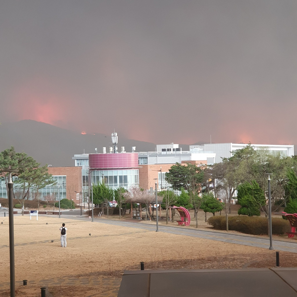 안동대에서 육안으로 보이기 시작한 산불 | 인스티즈