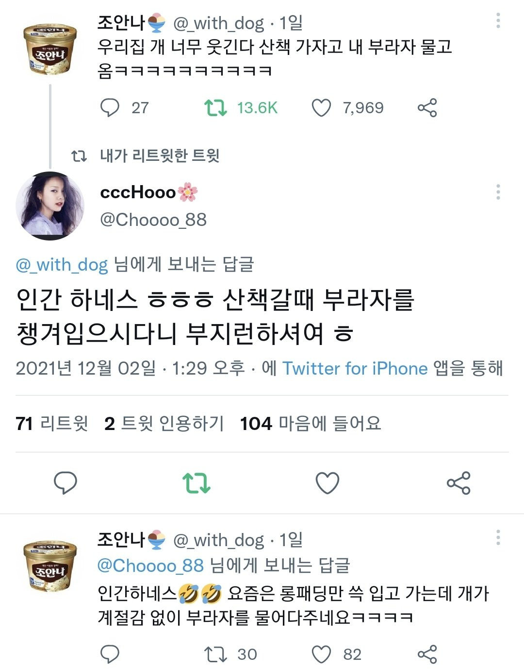  우리집 개 산책가자고 부라자 물고 옴