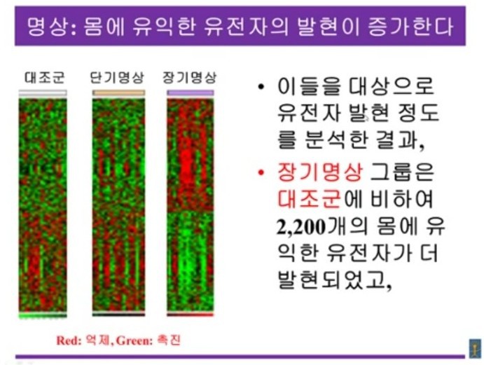 명상의 이득 | 인스티즈