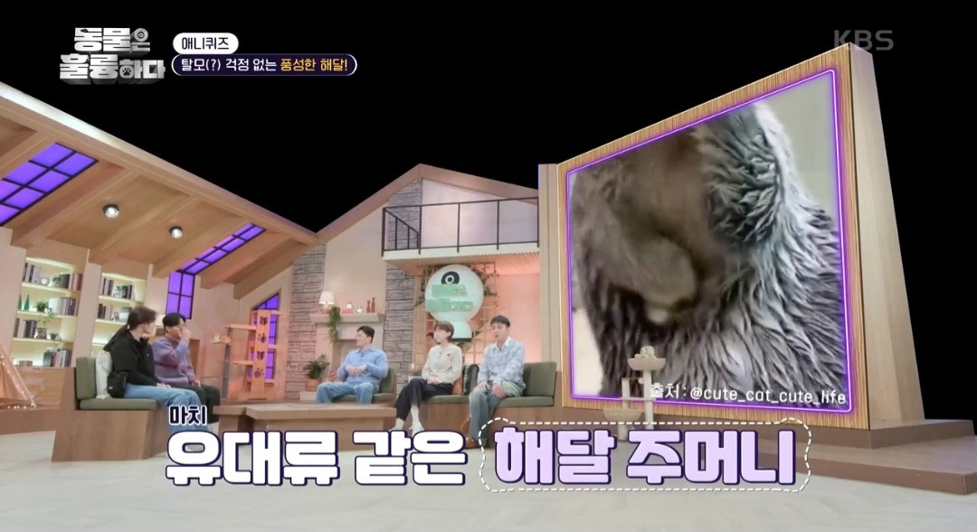 [동훌륭] 떠내려가지 않기 위해 친구 손을 잡고 잔다는 동물 | 인스티즈