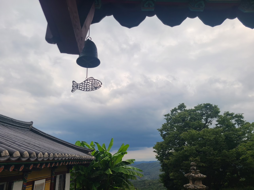 이번 경북 의성 산불로 인해 '의상대사'가 창건한 천년고찰 '운람사'가 전소되었습니다 | 인스티즈