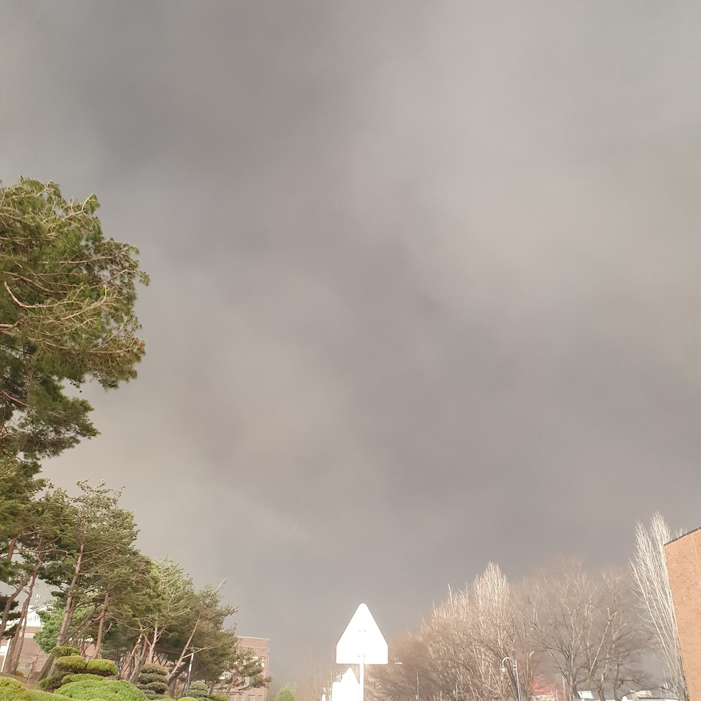 안동대에서 육안으로 보이기 시작한 산불 | 인스티즈