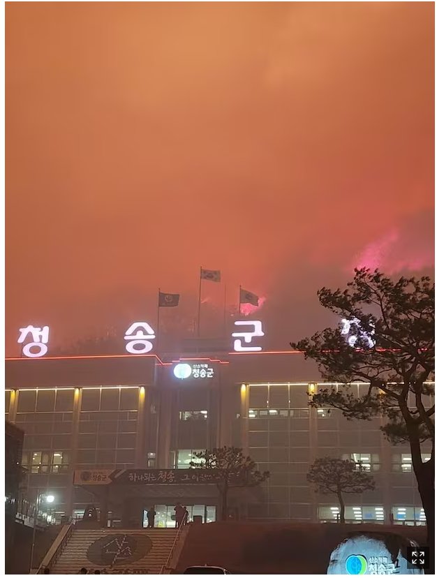  청송군청 뒷산까지 번진 산불