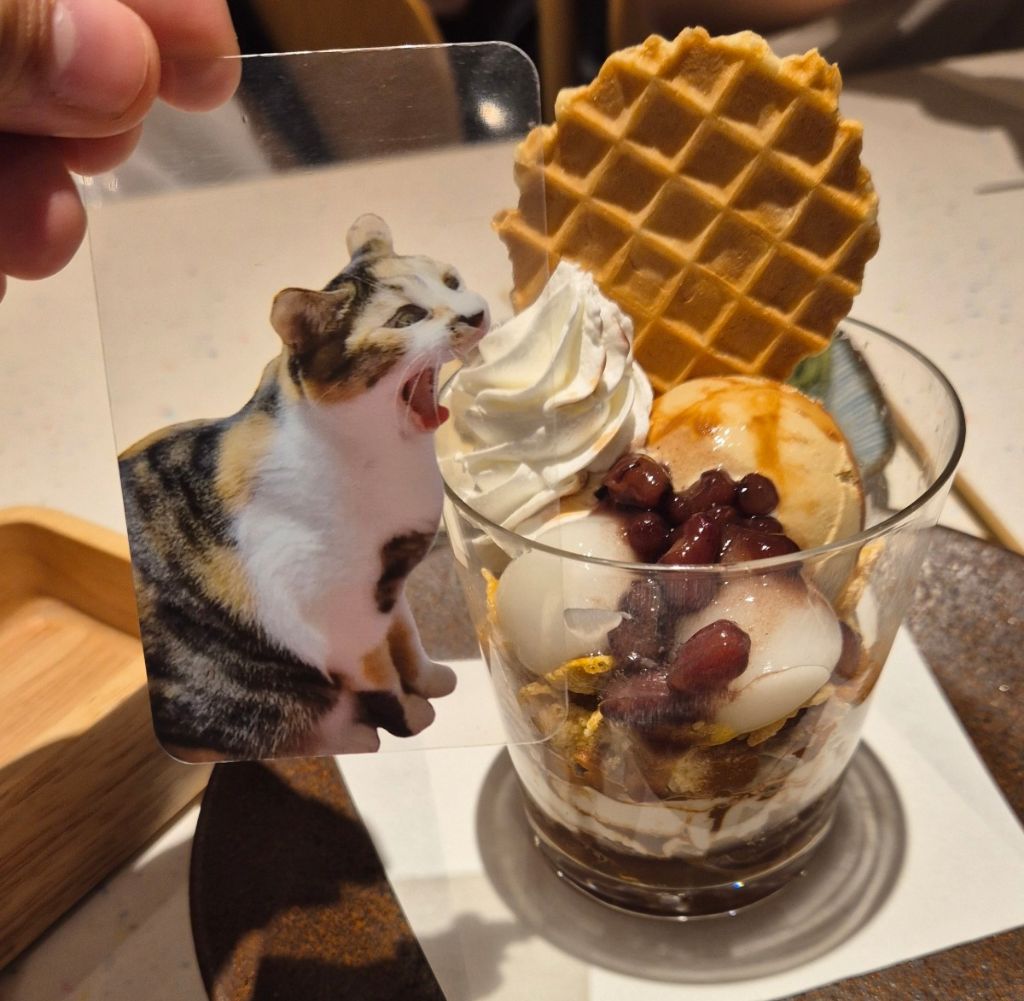 같이사는 고양이로 포카 만든 이유 | 인스티즈