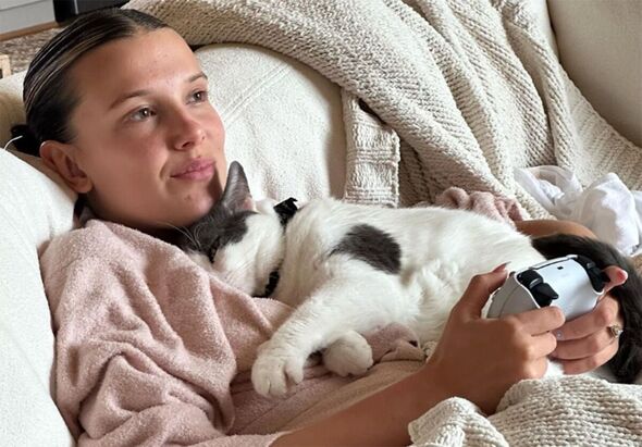 동물 62마리 돌보는중인 헐리웃 배우 밀리 바비 브라운 | 인스티즈