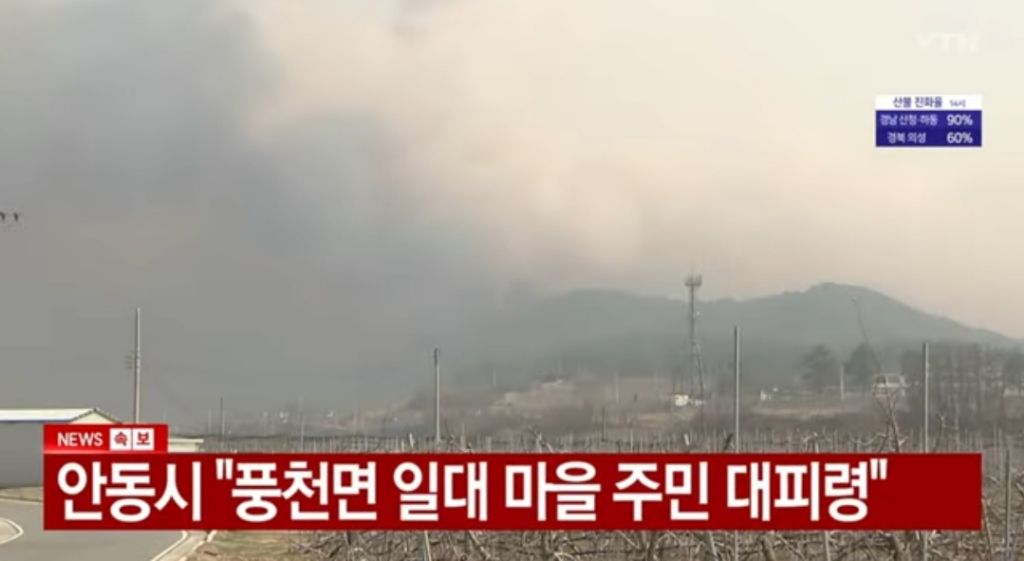  유일하게 산불 방송해주는 방송사