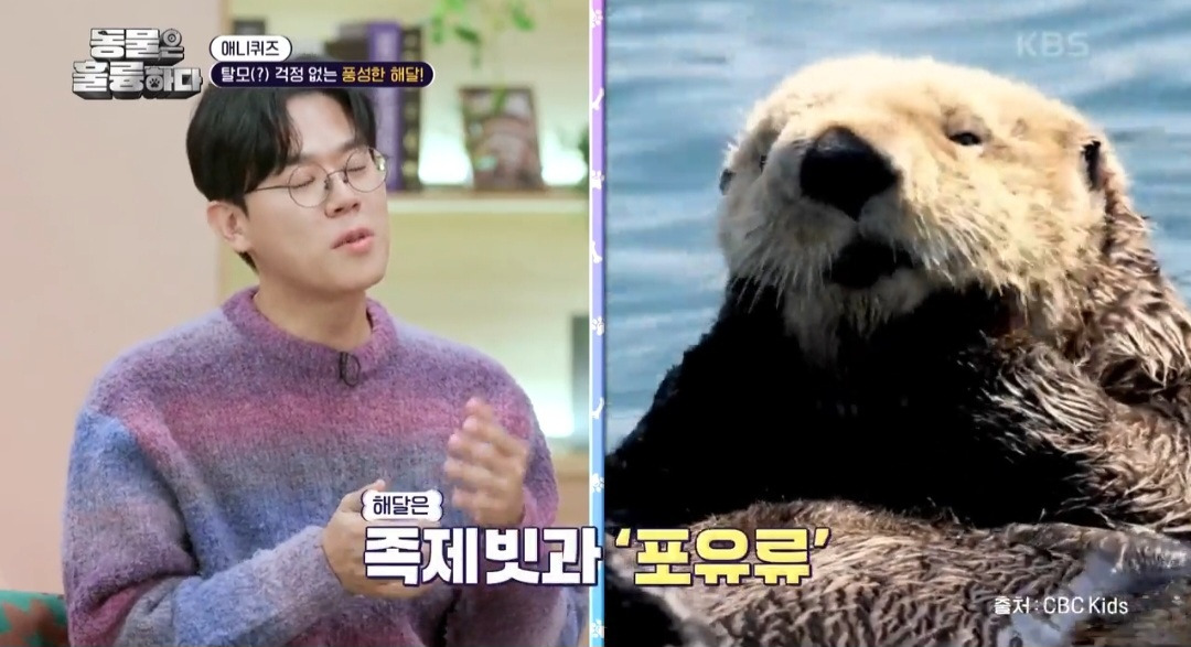 [동훌륭] 떠내려가지 않기 위해 친구 손을 잡고 잔다는 동물 | 인스티즈