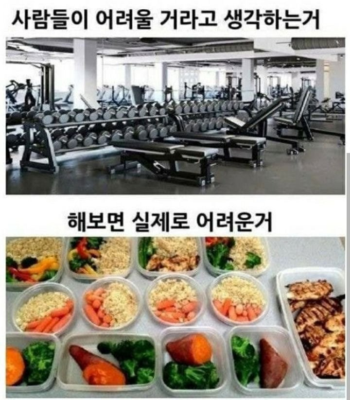  다이어트 할 때 가장 힘든 거 (상상 vs 현실)