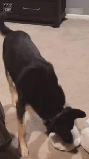 당근마켓 쿨 거래 요즘근황.JPG | 인스티즈