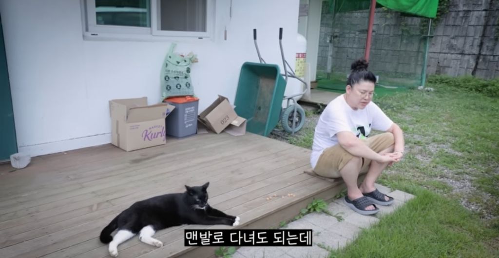 신발 물어 뜯은 고양이 찾아간 이영자 | 인스티즈
