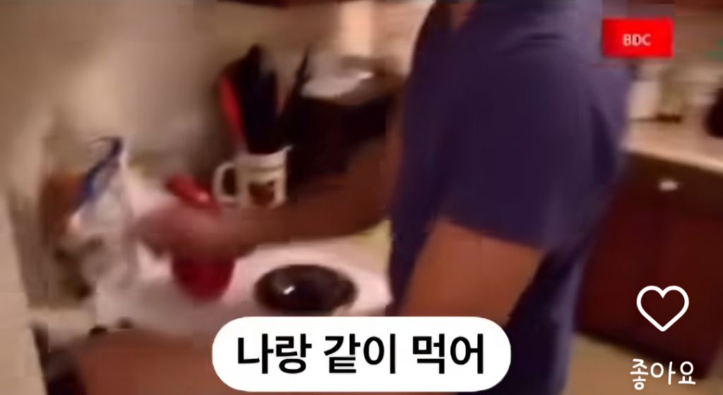 미국 영주권이 취득하기 어려운 이유 | 인스티즈