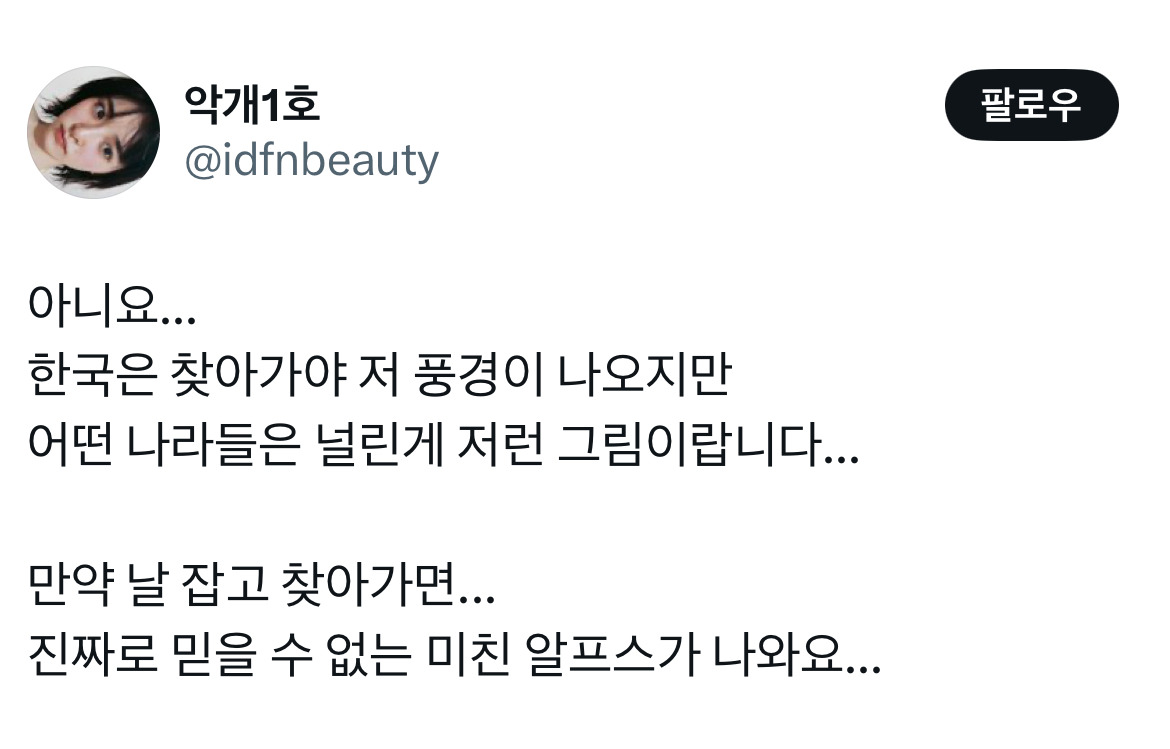 같은 인간으로 태어났는데 누구는 이런풍경 보면서 살아가고 누구는 메가커피컴포즈파리바게트휴대폰제일싼곳탕후루탕화쿵푸.twt | 인스티즈