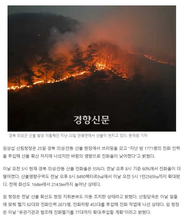 산림청장 "의성·안동 바람 영향 화선 늘어”…오늘 헬기투입 77대까지 확대 | 인스티즈