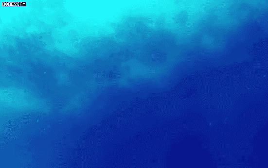 상어 실제 속도.gif | 인스티즈