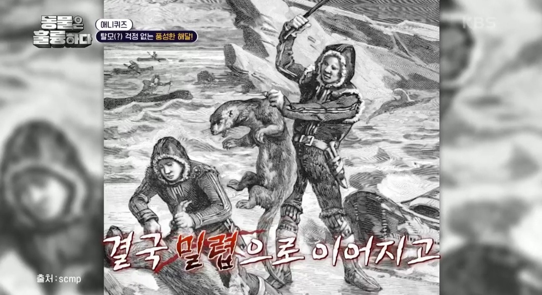 [동훌륭] 떠내려가지 않기 위해 친구 손을 잡고 잔다는 동물 | 인스티즈