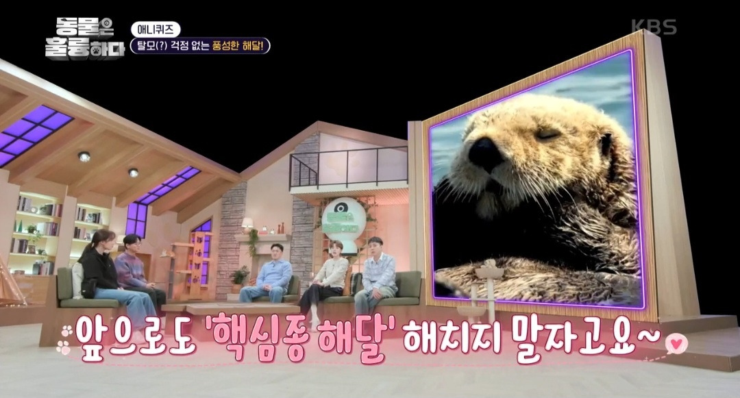 [동훌륭] 떠내려가지 않기 위해 친구 손을 잡고 잔다는 동물 | 인스티즈