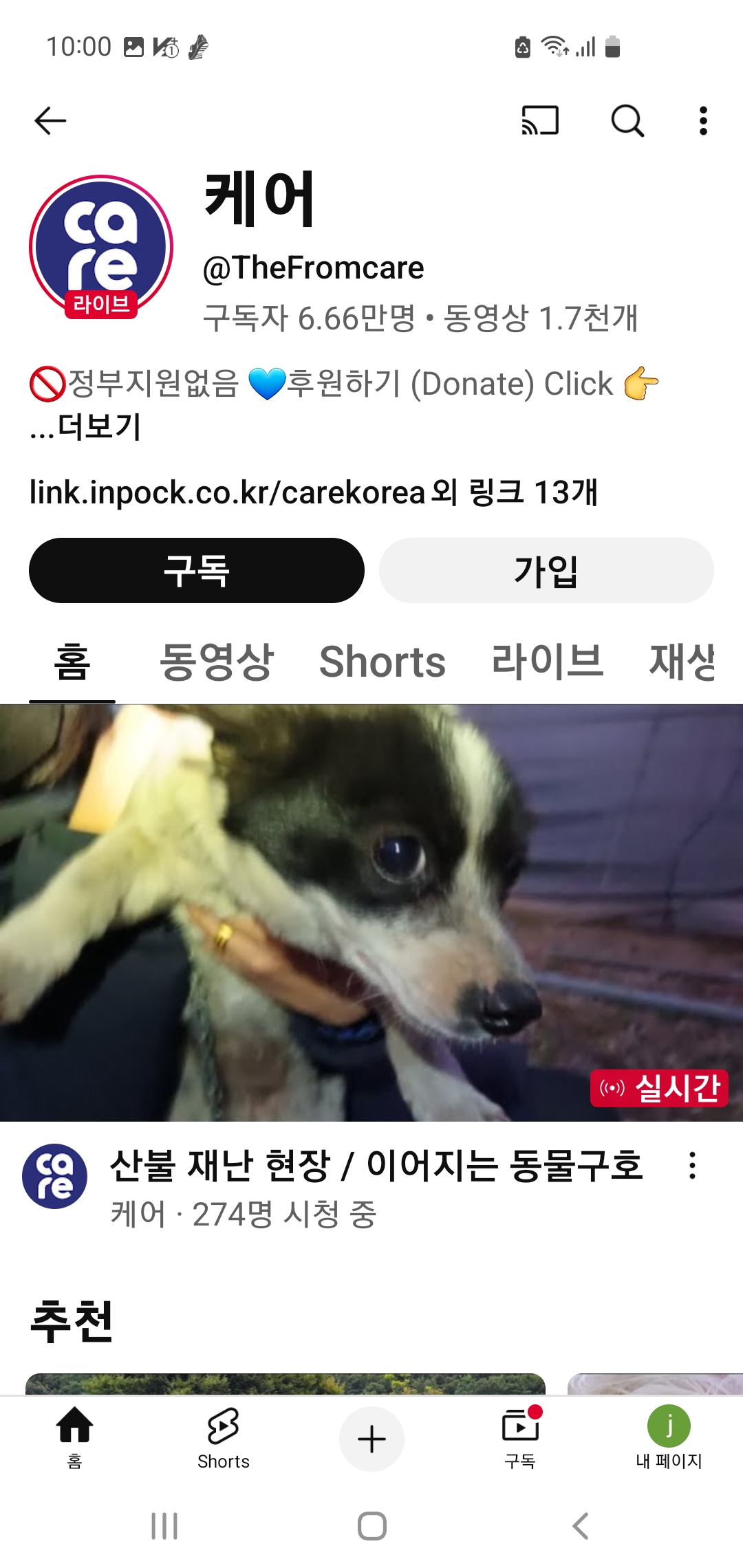 산불현장에서 강아지들 구조에 이리저리 다니고 있는 케어 | 인스티즈