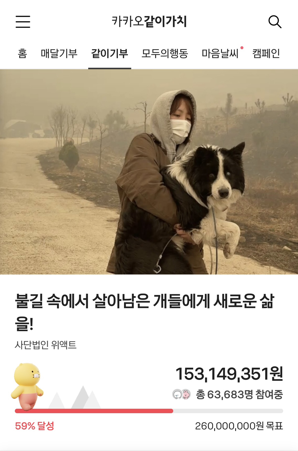 불길 속에서 살아남은 개들에게 새로운 삶을! (댓글쓰면 카카오가 100원 기부) | 인스티즈