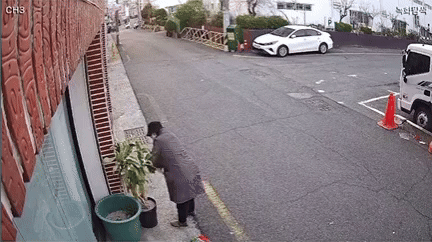 "식물살해범 찾아요"…카페 사장 사연에 누리꾼 '분노' | 인스티즈