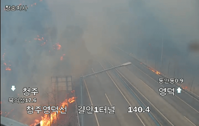  산불 미쳤다... 고속도로까지..