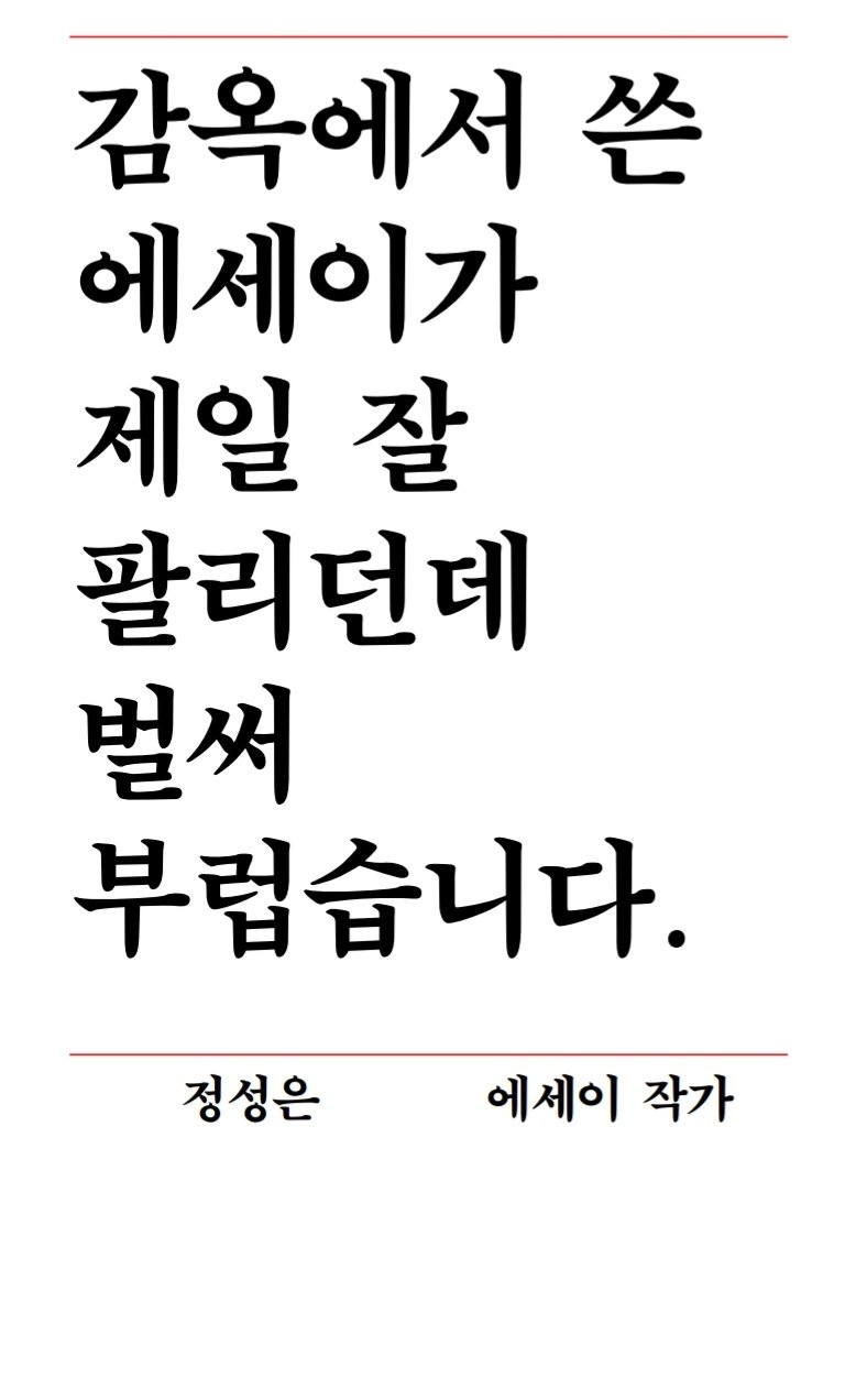  ??? : 감옥에서 쓴 에세이가 제일 잘 팔리던데 벌써 부럽습니다