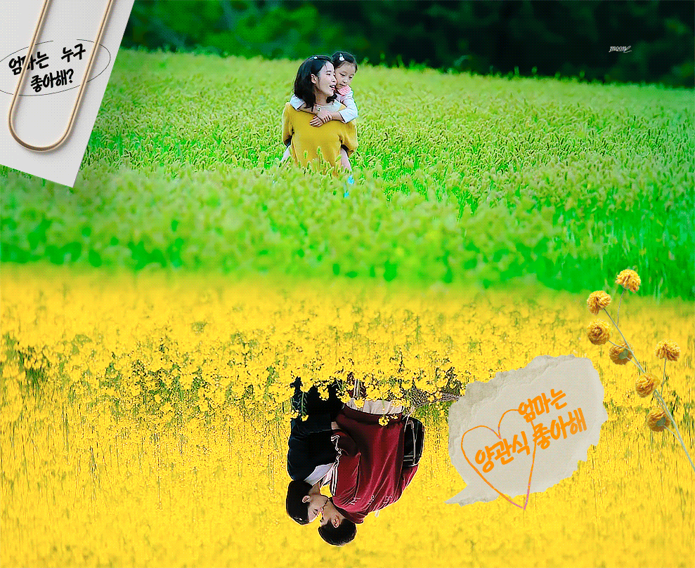 드라마 폭싹속았수다🍊에서 기억에 남는 명대사 하나씩 써주고 가기 | 인스티즈