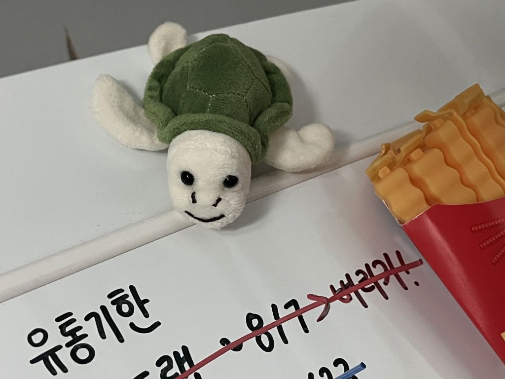 알리에서 냉장고 자석 샀는데... | 인스티즈