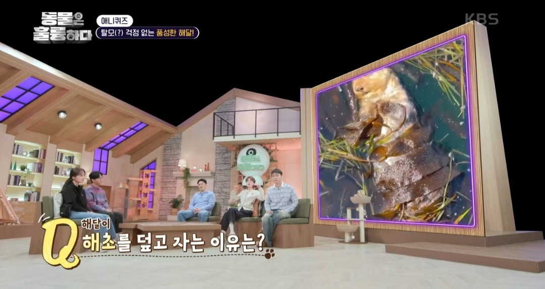  [동훌륭] 떠내려가지 않기 위해 친구 손을 잡고 잔다는 동물